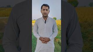 Oxytocin side effects  dairy farming  punjabi video lahore chandigarh motivation [upl. by Aruabea]