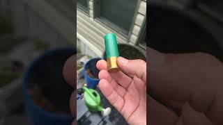 slugger 9MM ￼gunstuff Ammo Bullets mybackyard lifeisgood staysober ￼￼ [upl. by Enaht]