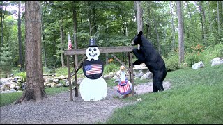 EarthCam Live Snowman Cam  Animals and Wildlife Gaylord Michigan [upl. by Llerryt]