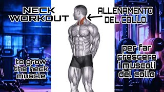 NECK WORKOUT  allenamento del collo [upl. by Hump]