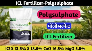 Polysulphate  Icl polysulphate fertilizer  Polysuphate icl company [upl. by Andromache]