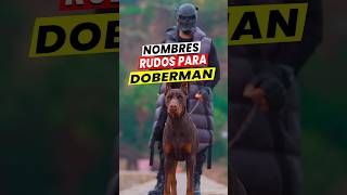 👉😈 Nombres RUDOS para perros Doberman Machos 💪 [upl. by Ainer]