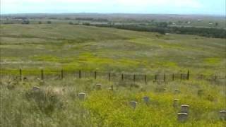 THE FALLEN AT THE BATTLE OF THE LITTLE BIGHORN [upl. by Harmonie]