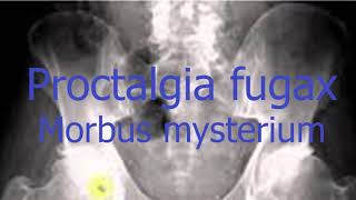 Proctalgia Fugax [upl. by Gillespie]