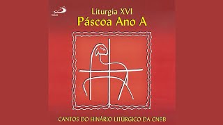 Aleluia Vinde Espírito de Deus Aclamação Pentecostes [upl. by Concha]