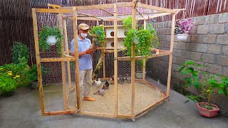 Make cheap bird cage for my wife  Complete guide  Bird cage designs [upl. by Ziwot628]