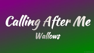 Wallows  Calling After Me KARAOKE VERSION [upl. by Tenej]