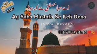 Ay Saba Mustafa Se Keh Dena  SlowReverb  Hafiz Tahir Qadri [upl. by Dranyar]