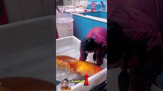 gold fish 🐟  shorts fish japanesefish amazingfacts story factsinhindi factsinhindi [upl. by Alfredo]