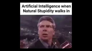 Artficial intelligence VS Natural Stupidity [upl. by Souza]