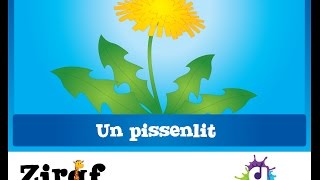 Un pissenlit [upl. by Walton]