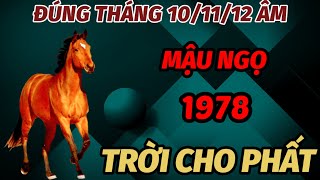 TRỜI THƯƠNG PHẬT ĐỘ TUỔI MẬU NGỌ SINH 1978 ĐÚNG TRONG THÁNG 101112 ÂM LỊCH TRỞ MÌNH GIÀU CỰC SANG [upl. by Corny]