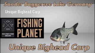 Unique Bighead Carp  Sander Baggersee Lake Germany  Fishing Planet Guide [upl. by Fedirko978]