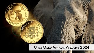 2024 Somalia Elefant Goldmünze  1 Unze Gold  African Wildlife Münze  Gold coin  NEW myVALOR [upl. by Adam]