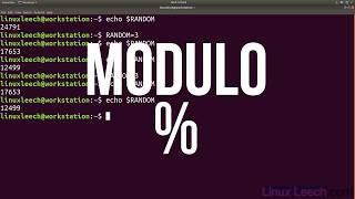 Random Number Variable in BASH  Linux Commands [upl. by Aisinoid368]