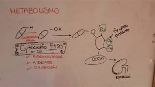 FARMACOCINÉTICA Parte 4METABOLISMO [upl. by Sanchez]