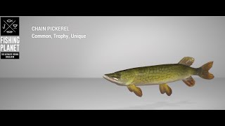 Fishing Planet  Emerald Lake  Unique  Chain Pickerel  Spin [upl. by Shirley778]