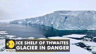 Ice shelf of Thwaites glacier can collapse in five years says scientists  Antartica  English News [upl. by Eberhart]