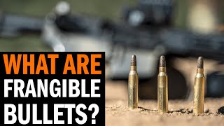 What Are Frangible Bullets with Army Ranger Dave Steinbach [upl. by Ellenrahc]