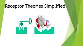 Theories of Receptors Simplified [upl. by Ahcsrop]