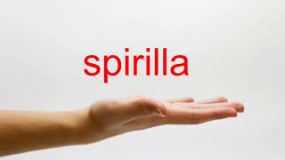 How to Pronounce spirilla  American English [upl. by Niraa]