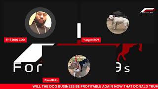 WILL THE DOG BUSINESS BE PROFITABLE AGAIN NOW THAT DONALD TRUMP IS PRESIDENT EPISODE 59 [upl. by Stirling342]