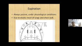 Basic concepts of Mechanical Ventilation in Neonates Part 1 of 2  Dr Sandeep Tilwani [upl. by Knapp159]