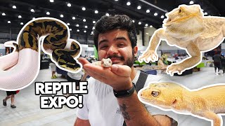 Fuimos a un lugar donde VENDEN ANIMALES EXÓTICOS 🐍🦎  Reptile Expo en Estados Unidos [upl. by Netnerb]