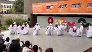 Ballet Folklórico CitlaliVeracruz Sotavento El colas [upl. by Conlee187]