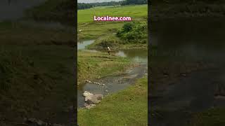 Fisherman village localnee video [upl. by Lotsirhc]