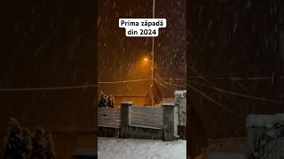 Ninge Prima zăpadă din 2024 snow ninge firstsnowfall [upl. by Alameda]