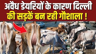 अवैध डेरियों के कारण सड़क पर बनी गौशाला  inderlok illegal dairy news  shastri nagar dairy news [upl. by Nivri]