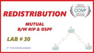 30 Redistribution Mutual between RIP and OSPF [upl. by Adialeda23]