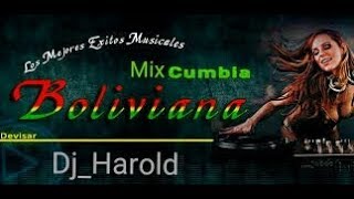 Mix Cumbia Villera Boliviana 🎶 Lo Mejor Bailable💃 Dj Harold [upl. by Zonnya343]