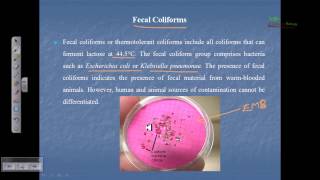 Indicator organism fecal coliform total coliform [upl. by Eleets475]