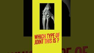 Joints in bones  Condyloid joint  Wrist Joint  Human skeletal system biology ncert bones [upl. by Akilaz]