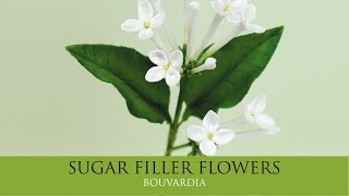 How to Make Bouvardia  Sugar Filler Flowers Part 7 [upl. by Irrek]