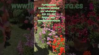 ¿Como abonar las plantas para la floración Sígueme floresferrera 🌹✅ [upl. by Arbe487]