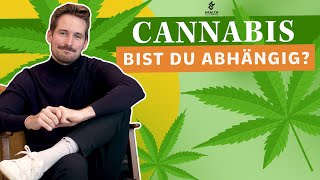 Cannabis Wann fängt schädlicher Konsum an  Health Celerates [upl. by Xer]