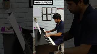 PRIMAVERA  LUDOVICO EINUADI  Piano Cover  Noel Malekar  piano pianomusic [upl. by Om]