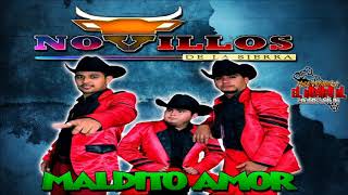 Maldito Amor 2018  Novillos De La Sierra [upl. by Ailaro]