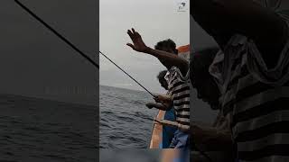 Catching Wahoo Fish in the Sea fish fishing fishingvideo [upl. by Hidie]