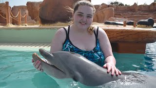 Interaction With Dolphins in Rancho Texas Zoo Waterpark Lanzarote February 6th 2022 [upl. by Margarete]