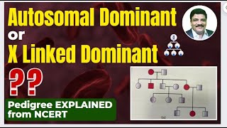 Confusion from New NCERT Autosomal Dominant or X Linked Dominant  Explained neet neet2024 [upl. by Ait]