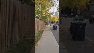 Etobicoke morning jazz goodmorning canada sirya torontoattractions bike Autumn [upl. by Arimay]