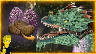 ABERRATION 🥚ALL IMPRINTING KIBBLE RECIPES FOR 100 IMPRINTING EVERY TIME ARK Survival Evolved [upl. by Destinee]