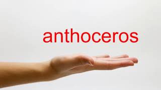 How to Pronounce anthoceros  American English [upl. by Dulcine]