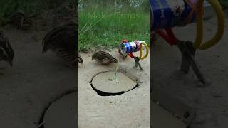 Creative DIY Bird Trap  Quail Trap shorts  Make Traps [upl. by Aicertap785]