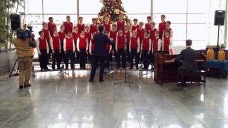 American Boychoir  America The Beautiful [upl. by Papotto]