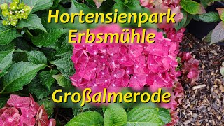 Hortensienpark ErbsmÃ¼hle  GroÃŸalmerode [upl. by Nanaek]